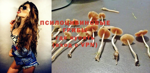 бошки Баксан
