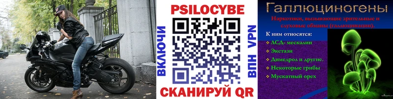 даркнет клад  Лесозаводск  Псилоцибиновые грибы прущие грибы 